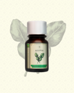 SILPIN Royal Kaffir Lime Leaf Gastronomic Oil 30 ml. - Image 2