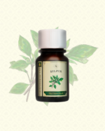 SILPIN Thai Sweet Basil Gastronomic Oil 30 ml. - Image 2