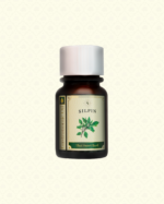 SILPIN Thai Sweet Basil Gastronomic Oil 30 ml.