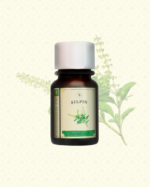 SILPIN Thai Hoy Basil Gastronomic Oil 30 ml. - Image 2