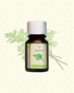 SILPIN Thai Coriander Gastronomic Oil 30 ml. - Image 2
